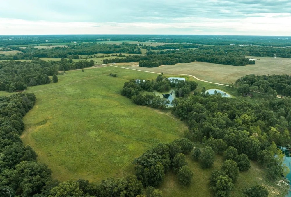 Moberly Whitetail Tract 7 featured image