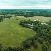 Moberly Whitetail Tract 7