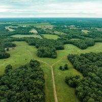 Moberly Whitetail Tract 7 images 2