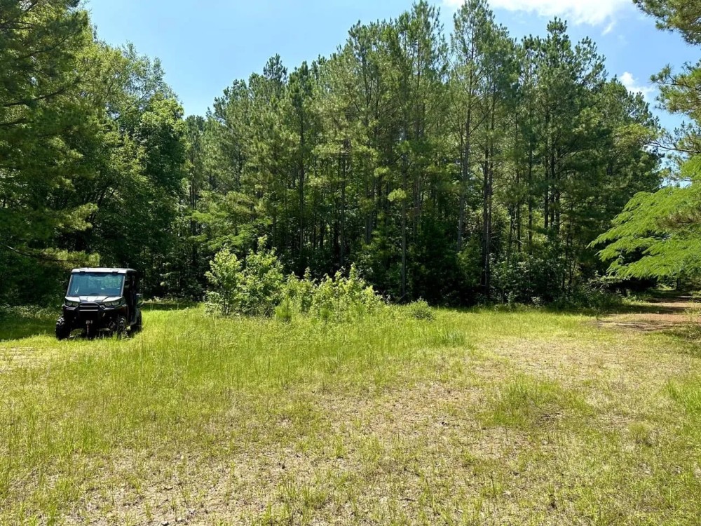 Bowie County- 468 Acres featured image