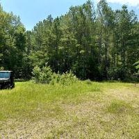Bowie County- 468 Acres