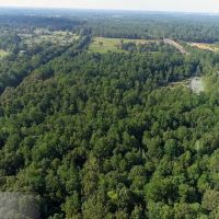 Bowie County- 468 Acres images 2