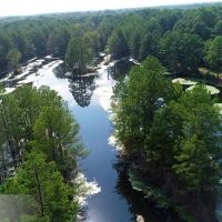 Bowie County- 468 Acres images 3