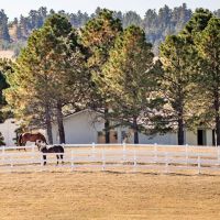 Hidden Pines Equestrian Center images 3