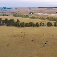 Hidden Pines Equestrian Center images 4