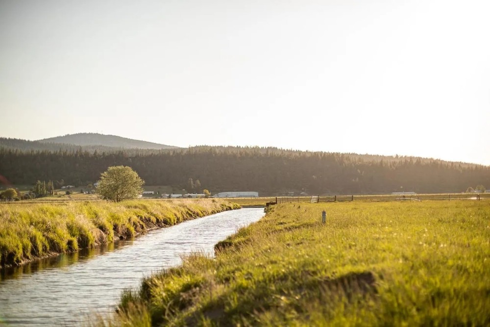 Stoney Ridge Ranch featured image