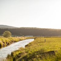 Stoney Ridge Ranch