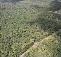 87 Acres in Jackson County in Lucedale MS images 4