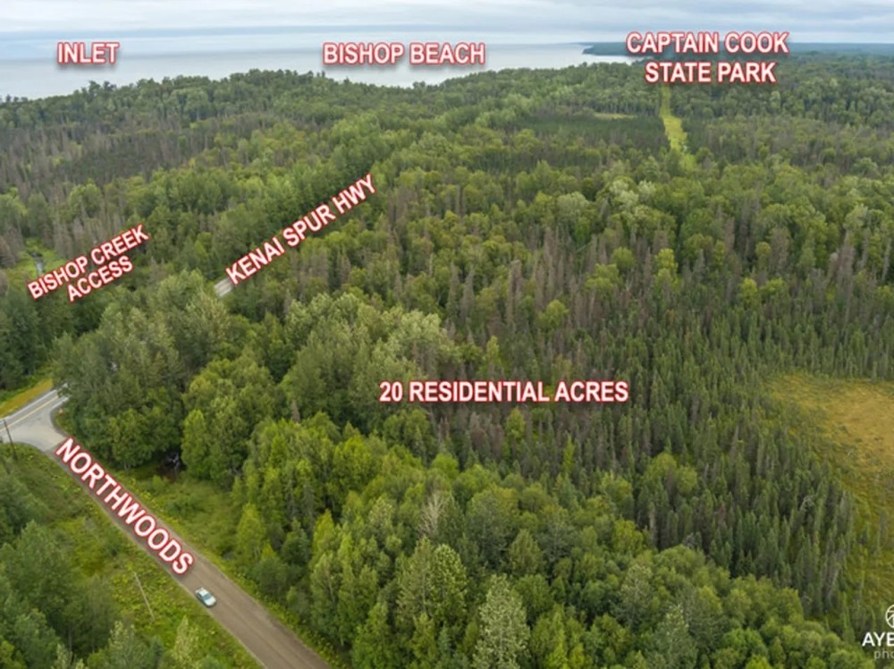 RARE 20 ac Pristine Parcel Bordering Kenai Refuge Kenai Peninsula AK featured image