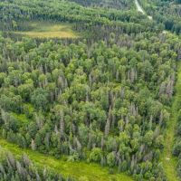 RARE 20 ac Pristine Parcel Bordering Kenai Refuge Kenai Peninsula AK images 5
