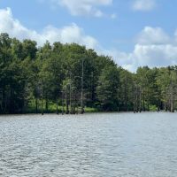 MS - Wilkinson 135 acres -