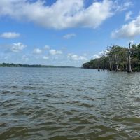 MS - Wilkinson 135 acres - images 2
