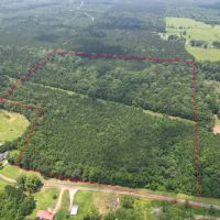 LA - Caldwell 57 acres - images 2