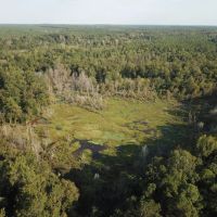 LA - Ouachita 80 acres -