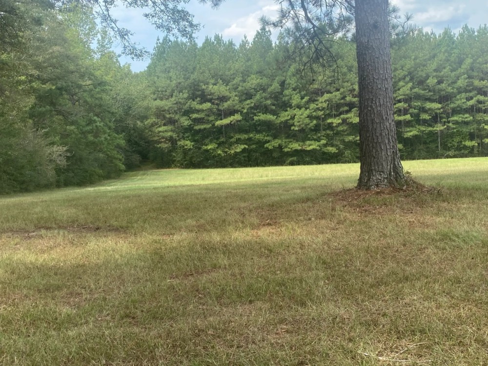 MS Lamar 48 acres - featured image