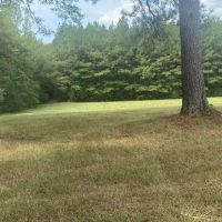 MS Lamar 48 acres -