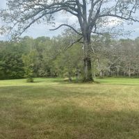 MS Lamar 48 acres - images 2