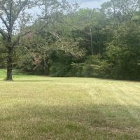 MS Lamar 48 acres - images 3
