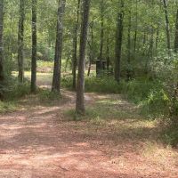 MS Lamar 48 acres - images 4