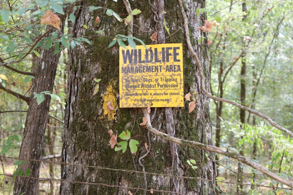 LA - Caldwell 11.35 acres - featured image