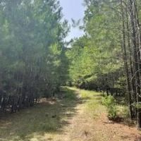 Sportsman s Paradise images 4