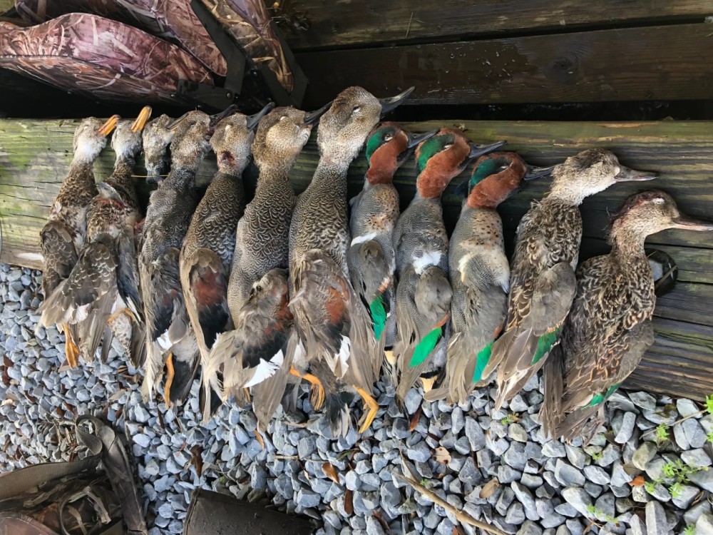 LA St. Bernard 390 acres Hunting Land for Sale HuntingLocator