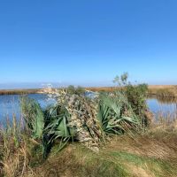 LA - St. Bernard 390 acres - images 4