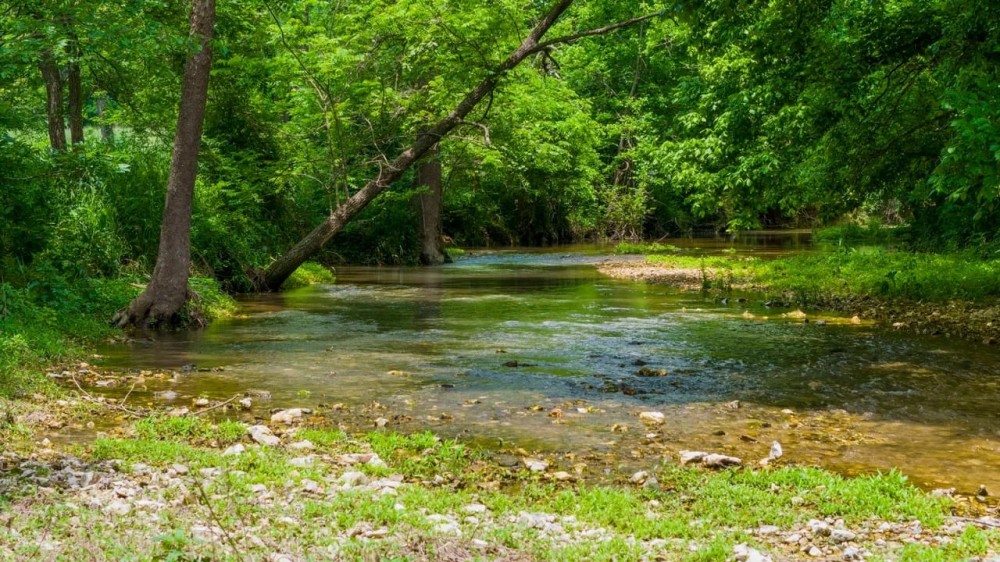 447 Acres with Live Natural Springs featured image