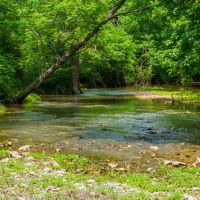 447 Acres with Live Natural Springs