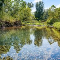 447 Acres with Live Natural Springs images 2