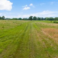 447 Acres with Live Natural Springs images 3