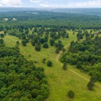447 Acres with Live Natural Springs images 5