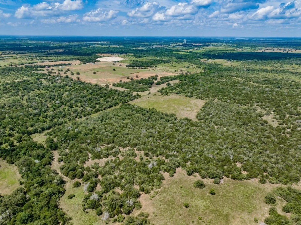 29 acres - Armstrong Derry Rd Tract 13 in Flationa featured image