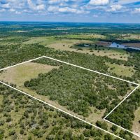 29 acres - Armstrong Derry Rd Tract 13 in Flationa images 3