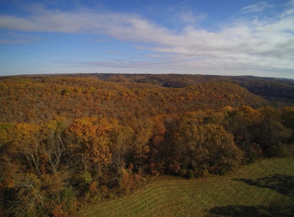 Diverse SW MO Tract With Seclusion Quality Timber And Monster Bucks featured image