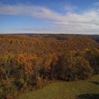 Diverse SW MO Tract With Seclusion Quality Timber And Monster Bucks