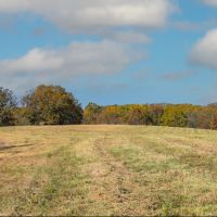 Diverse SW MO Tract With Seclusion Quality Timber And Monster Bucks images 2