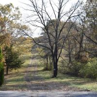 Diverse SW MO Tract With Seclusion Quality Timber And Monster Bucks images 3