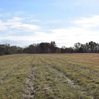 Diverse SW MO Tract With Seclusion Quality Timber And Monster Bucks images 4
