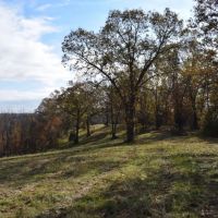 Diverse SW MO Tract With Seclusion Quality Timber And Monster Bucks images 5