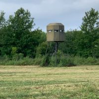 LA - Franklin 650 acres - images 2