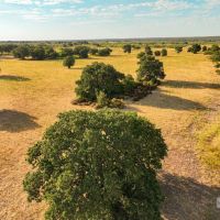 New Listing 53 - Acres Comanche County images 4