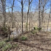 Rustic Ridge Ranch images 2
