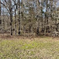 Rustic Ridge Ranch images 3