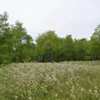 98 Acre Southern Kansas Hunting Tract for Sale Osage County images 3