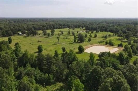 50 acres with complete seclusion featured image