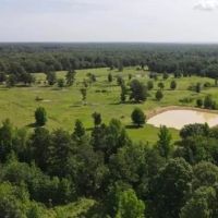50 acres with complete seclusion