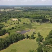 50 acres with complete seclusion images 4
