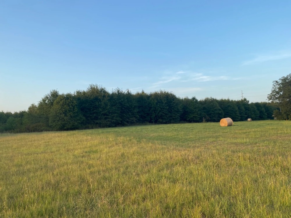 LA - Franklin 112.5 acres - featured image