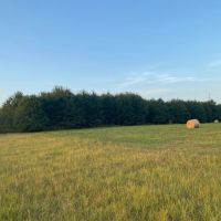 LA - Franklin 112.5 acres -